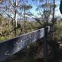 Centennial Glen Walking Track
