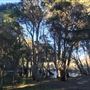 Glenbrook Lagoon