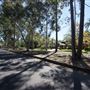 St Ives - Torokina Avenue streetscape