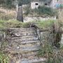 Birdsong Bower - Disused Coal Mine