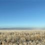Goulburn