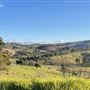 Coopers Gully Farmland