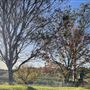 Stony Creek Farmland