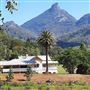 Mt Warning Estate