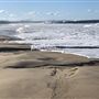 Nambucca Heads Swimming Creek