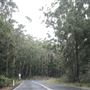 Nambucca Heads