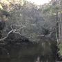 Nambucca Heads