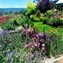 Hartvale Gardens and Cottage