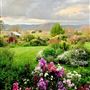 Hartvale Gardens and Cottage