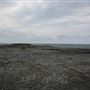 Black Head Reserve