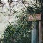 Hunter River Retreat