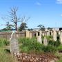 Maitland Jewish Cemetery