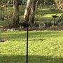 Winbourne Estate Country Bed and Breakfast