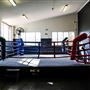 PCYC Fairfield Blue Boxing Room