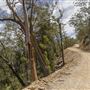 Glenworth Valley Wilderness Adventures