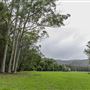 Glenworth Valley Wilderness Adventures