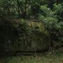 Glenworth Valley Wilderness Adventures