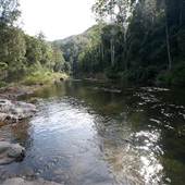 Bellinger Valley