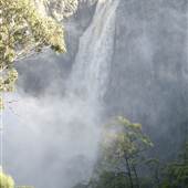 Dangars Falls - Oxley Wild Rivers National Park