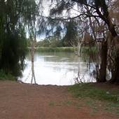 Lake Wyangan, Griffith