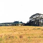 Dunmore & Albion Park