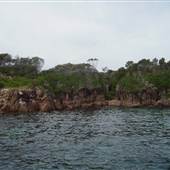 Point Stephens/Fingal Island / Fingal Point /Tomaree National Park