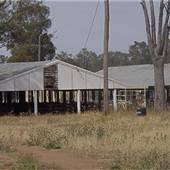 Gilgandra Showground