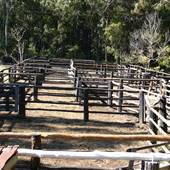 John Scott Kundabung Rodeo Grounds / Stables