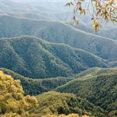 New England National Park