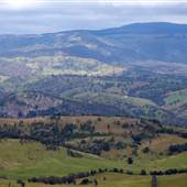 Mt Blackheath Lookout