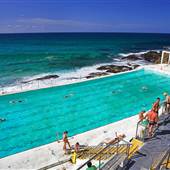 Bondi Icebergs