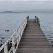 Lake Illawarra North-Wollamai Park