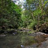 Flatrock Gully