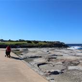 Clovelly Beach