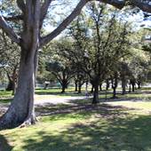 Centennial Park - Federation Way