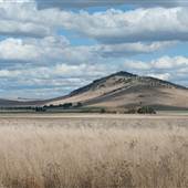 Goulburn Area