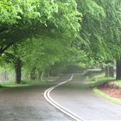 Mount Wilson Roads