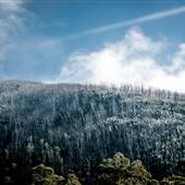 Thredbo Valley