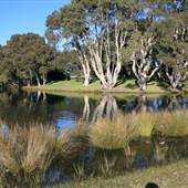 Centennial Park