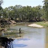 Murrumbidgee River