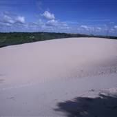 Cronulla Sand Dunes