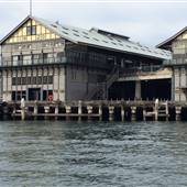 Walsh Bay - Sydney Harbour from the water