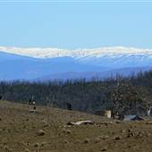 Snowy Mountains region