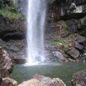Terania Creek - Waterfalls & Rainforest
