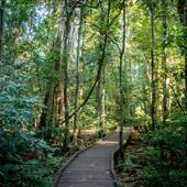 Victoria Park Nature Reserve