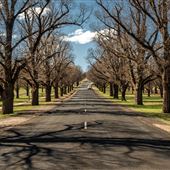 Armidale