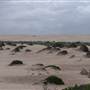 Anna Bay Sand Dunes