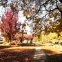 Alma Park