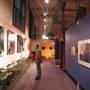 Australian Museum