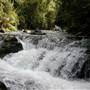 Barrington Tops area